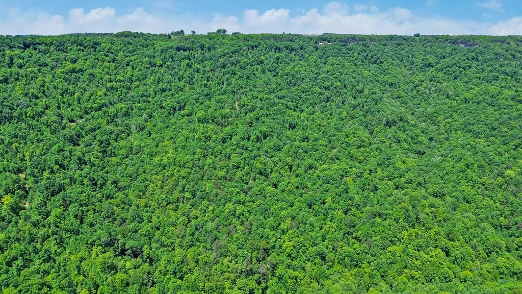N/a Junaluska Drive Jamestown TN 38556