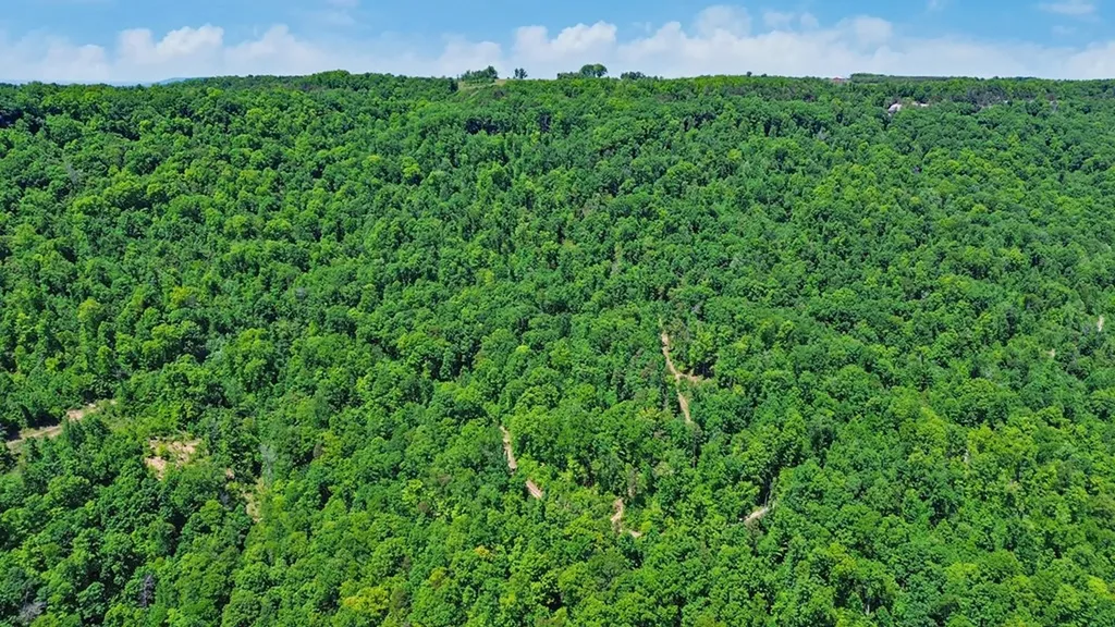 N/a Junaluska Drive Jamestown TN 38556