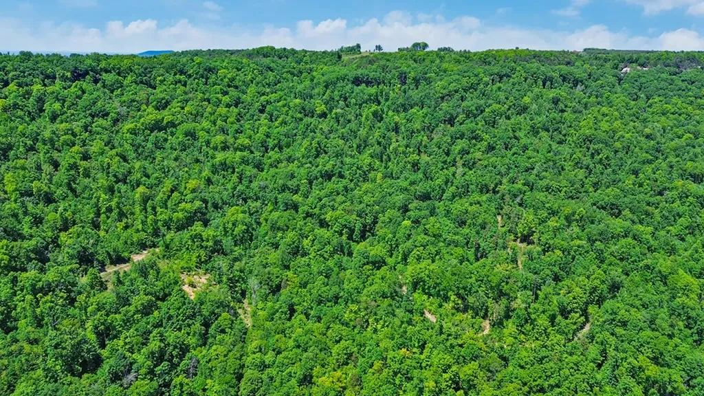 N/a Junaluska Drive Jamestown TN 38556