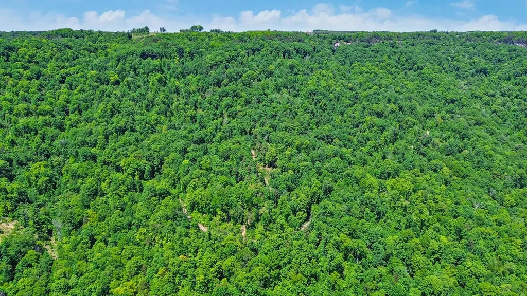 N/a Junaluska Drive Jamestown TN 38556