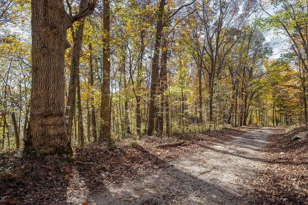23.19 Ac Webbs Camp Road Walling TN 38587