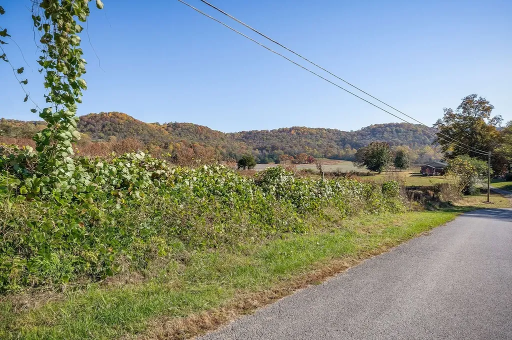 23.19 Ac Webbs Camp Road Walling TN 38587