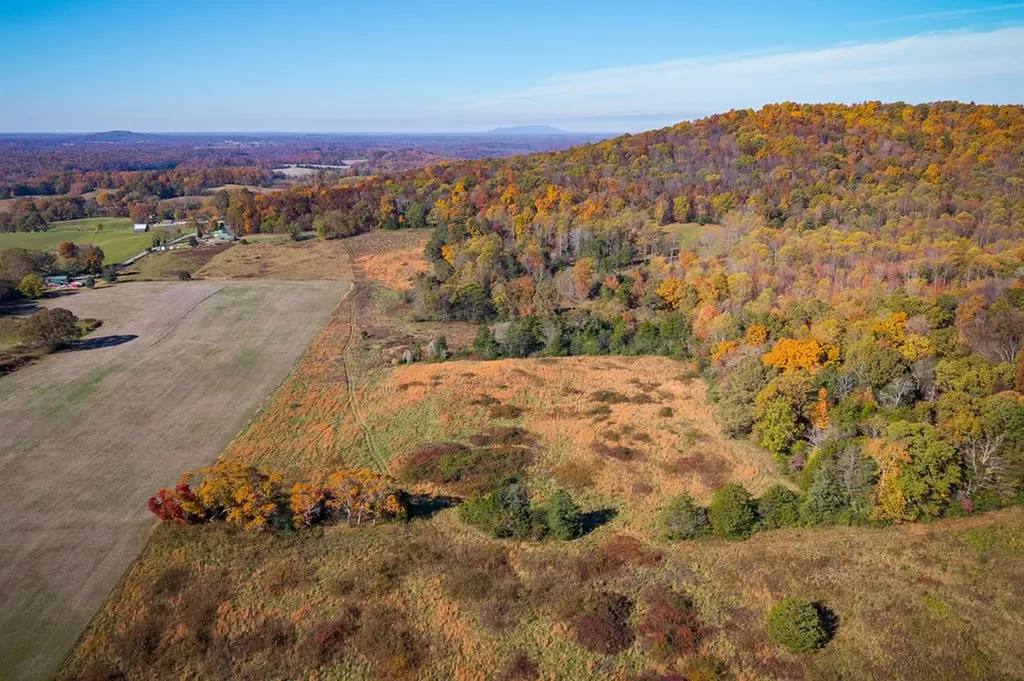 23.19 Ac Webbs Camp Road Walling TN 38587