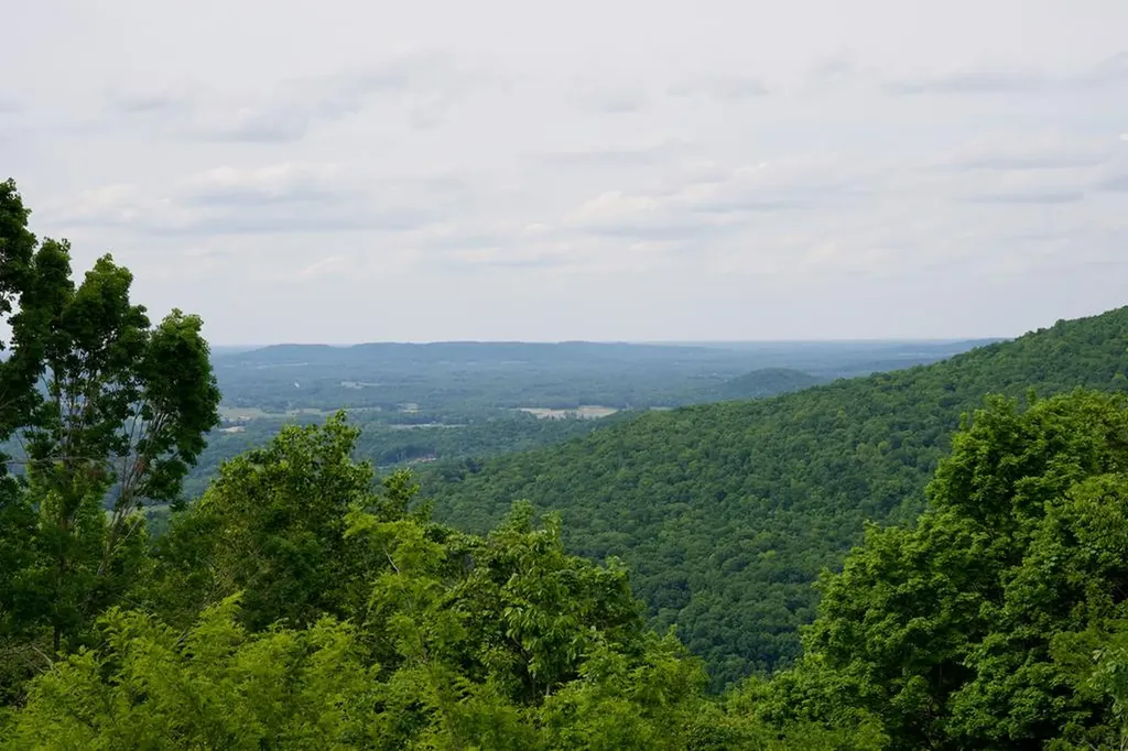 1.53AC Valley View Lane Spencer TN 38585