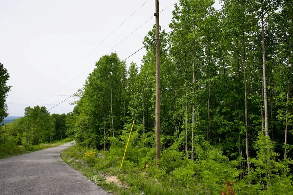 1.53AC Valley View Lane Spencer TN 38585