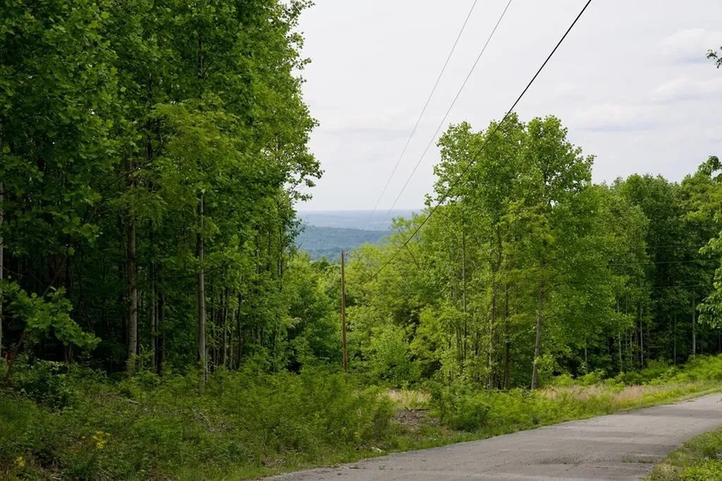 1.53AC Valley View Lane Spencer TN 38585