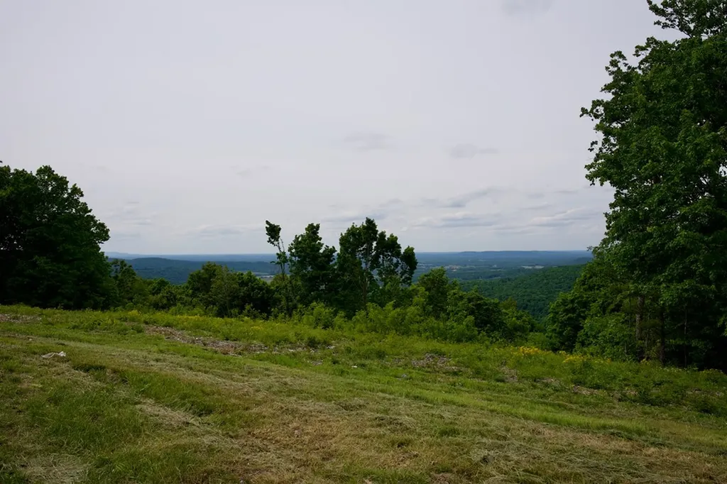1.53AC Valley View Lane Spencer TN 38585
