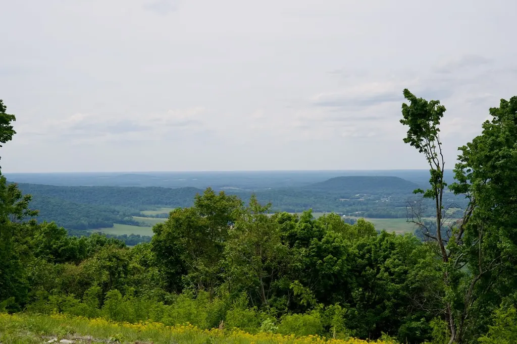 1.53AC Valley View Lane Spencer TN 38585