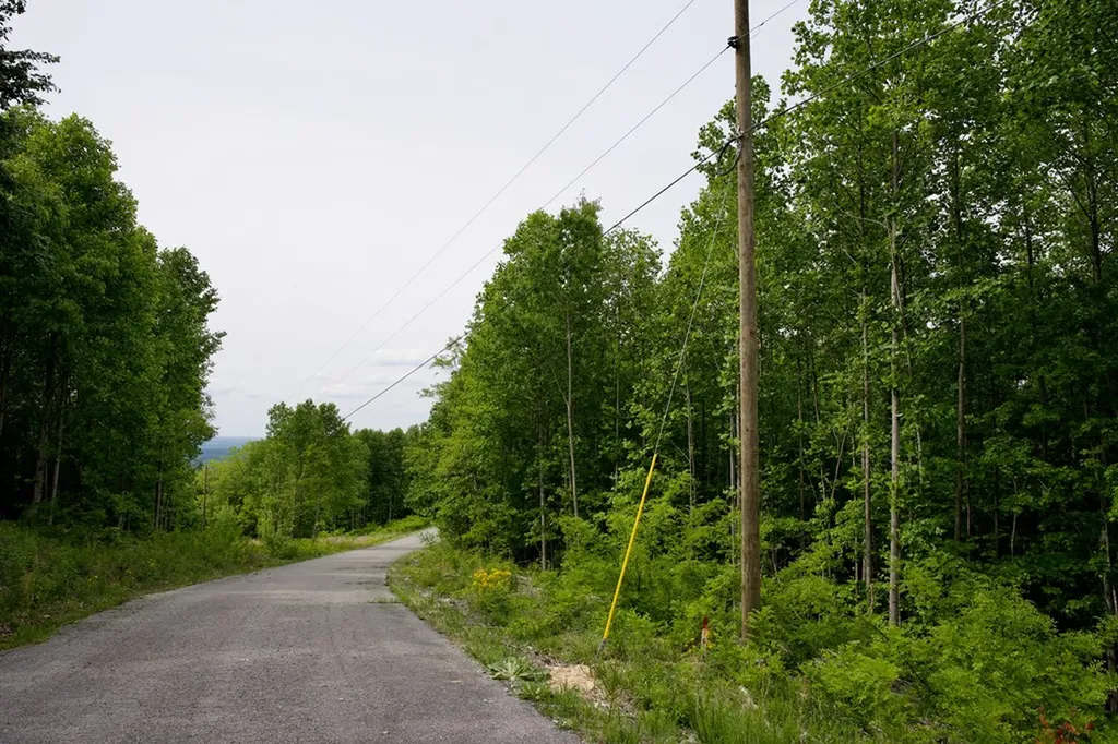 1.53AC Valley View Lane Spencer TN 38585