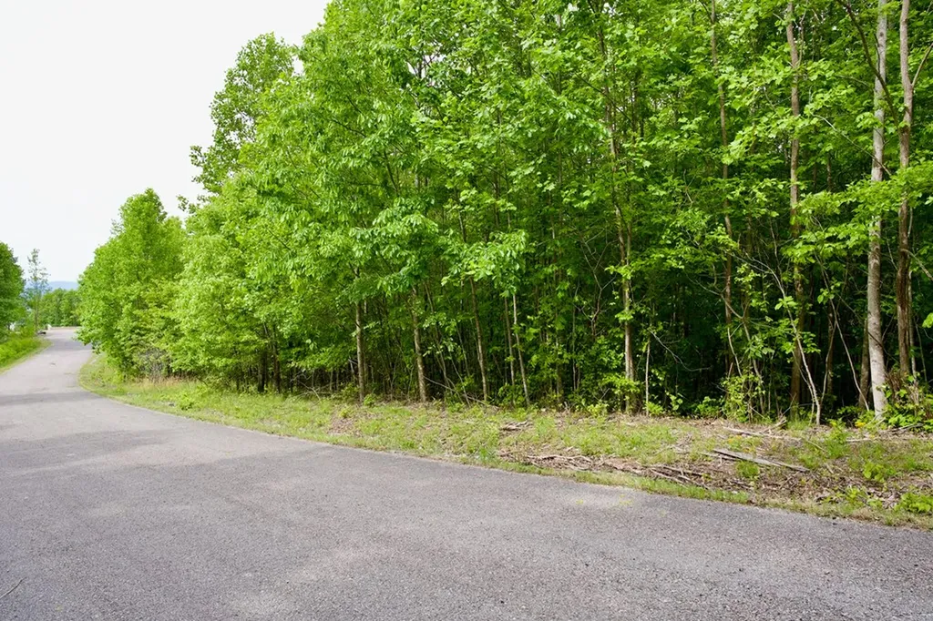 1.53AC Valley View Lane Spencer TN 38585