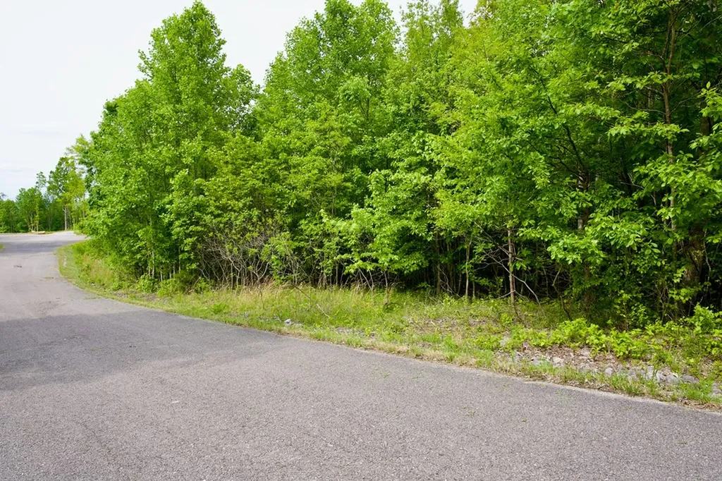 1.53AC Valley View Lane Spencer TN 38585