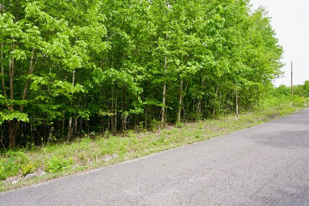 1.53AC Valley View Lane Spencer TN 38585