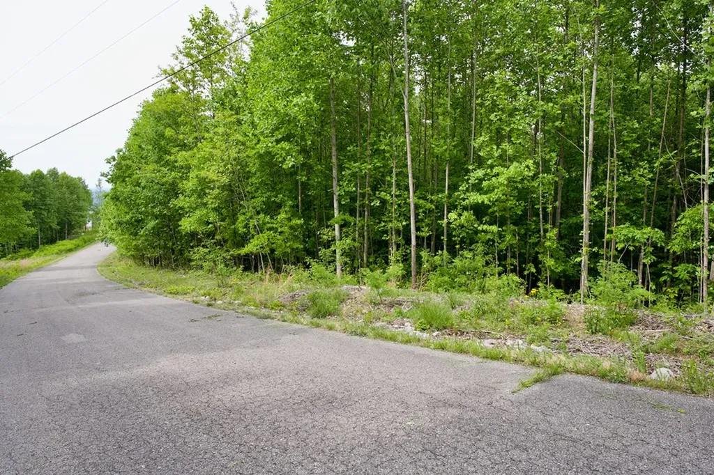 1.53AC Valley View Lane Spencer TN 38585