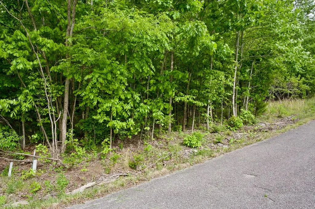 1.53AC Valley View Lane Spencer TN 38585