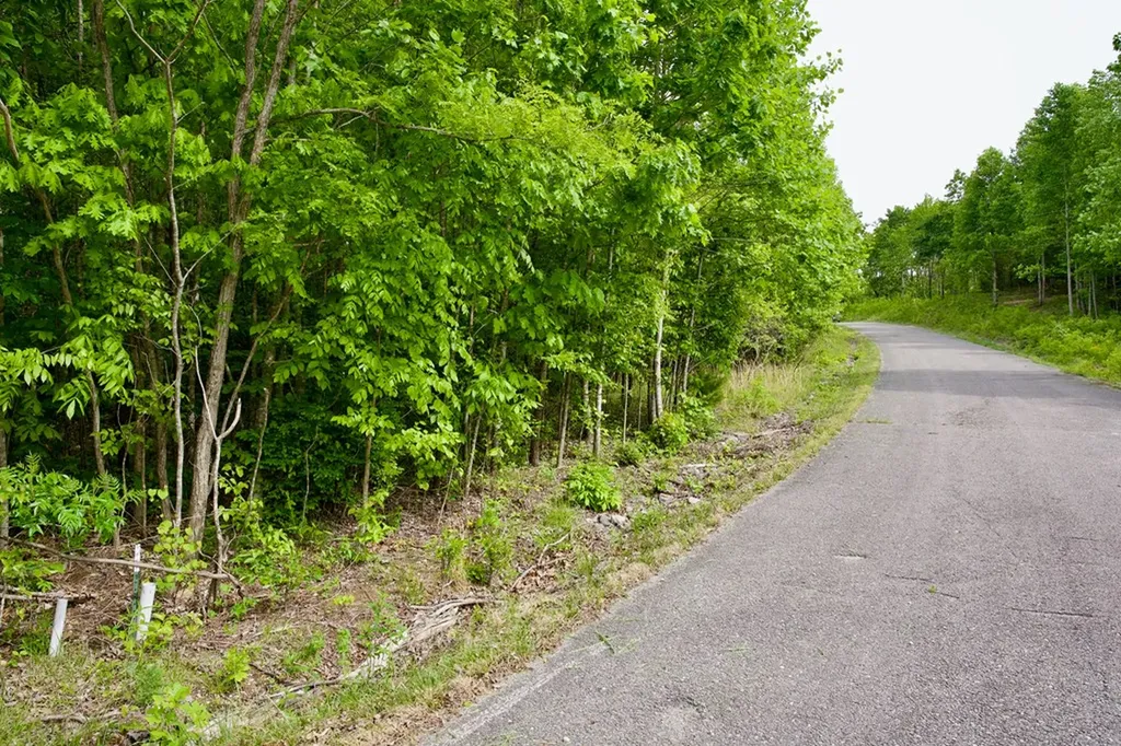 1.53AC Valley View Lane Spencer TN 38585