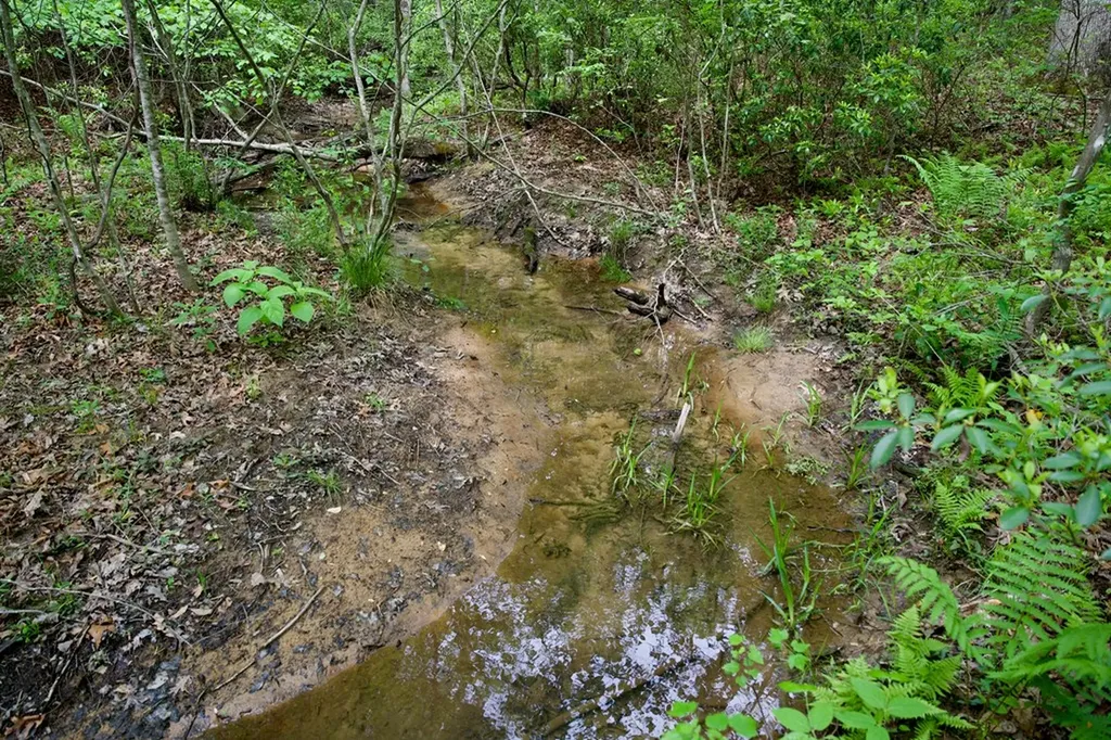 1.4AC Creek Side Lane Spencer TN 38585