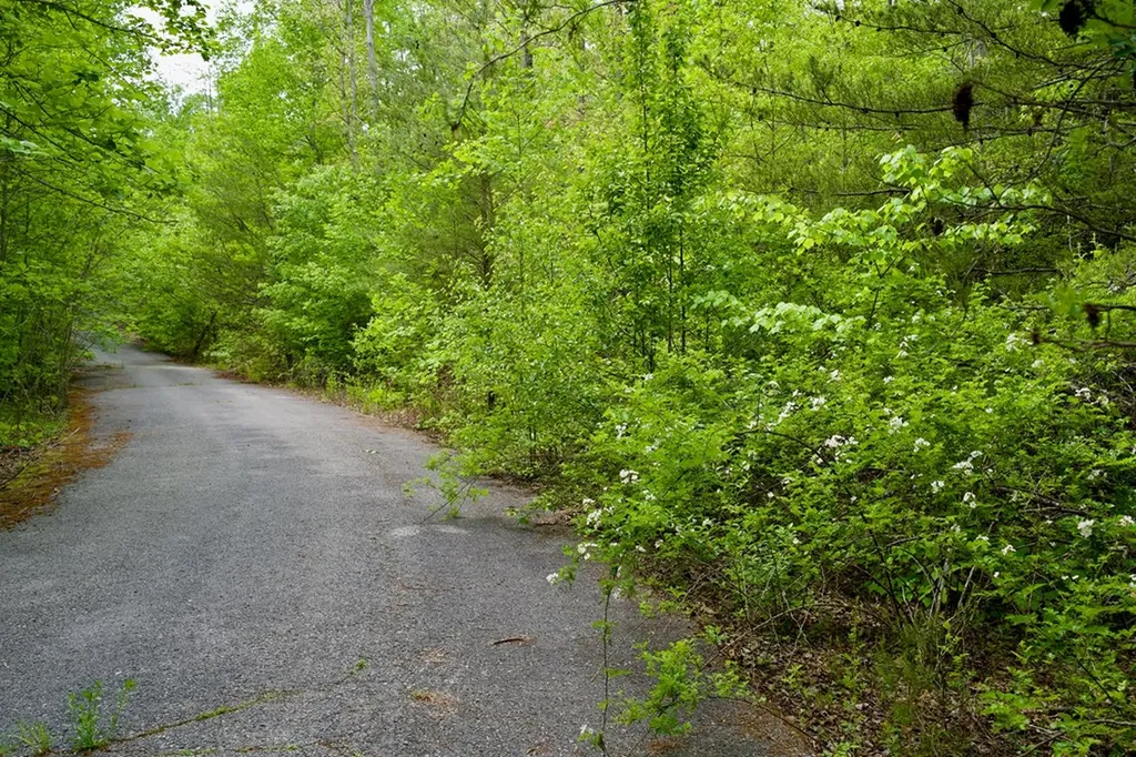 1.4AC Creek Side Lane Spencer TN 38585