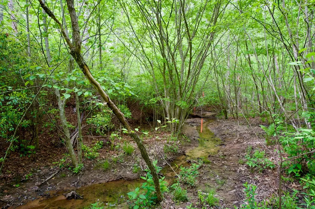 1.4AC Creek Side Lane Spencer TN 38585