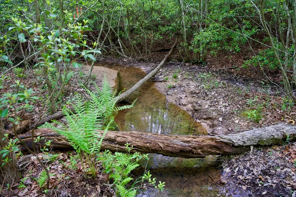 1.4AC Creek Side Lane Spencer TN 38585