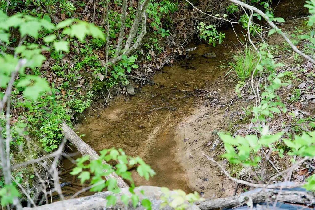 1.4AC Creek Side Lane Spencer TN 38585