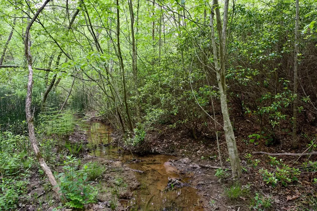1.4AC Creek Side Lane Spencer TN 38585
