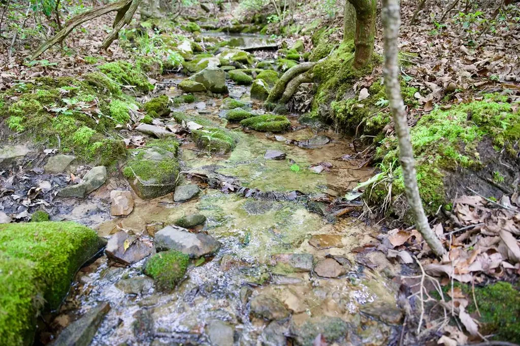 1.2AC Coyote Trail Spencer TN 38585