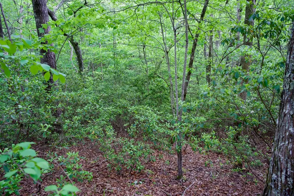 1.2AC Coyote Trail Spencer TN 38585