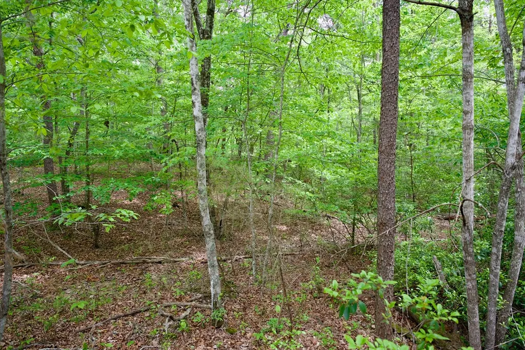 1.2AC Coyote Trail Spencer TN 38585