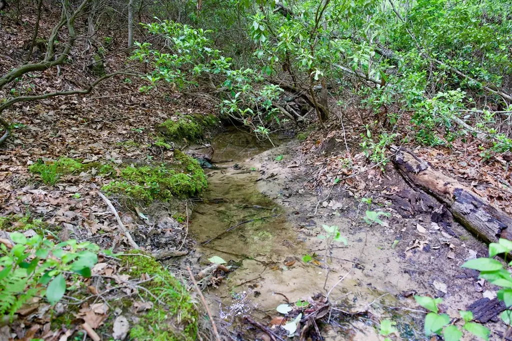 1.2AC Coyote Trail Spencer TN 38585