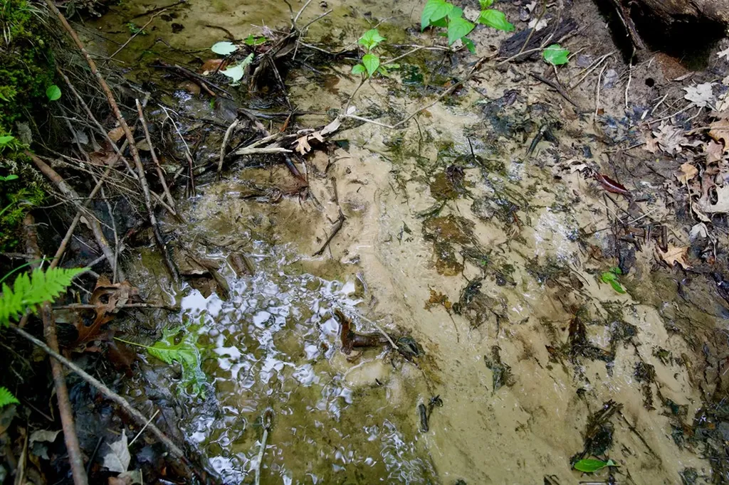 1.2AC Coyote Trail Spencer TN 38585