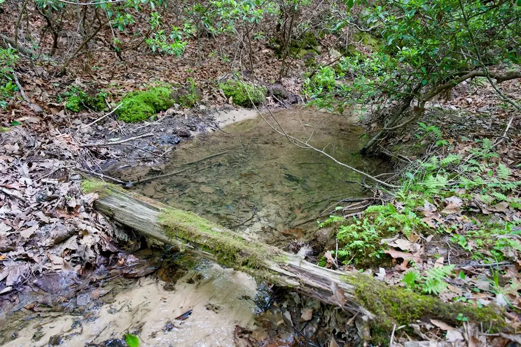 1.2AC Coyote Trail Spencer TN 38585