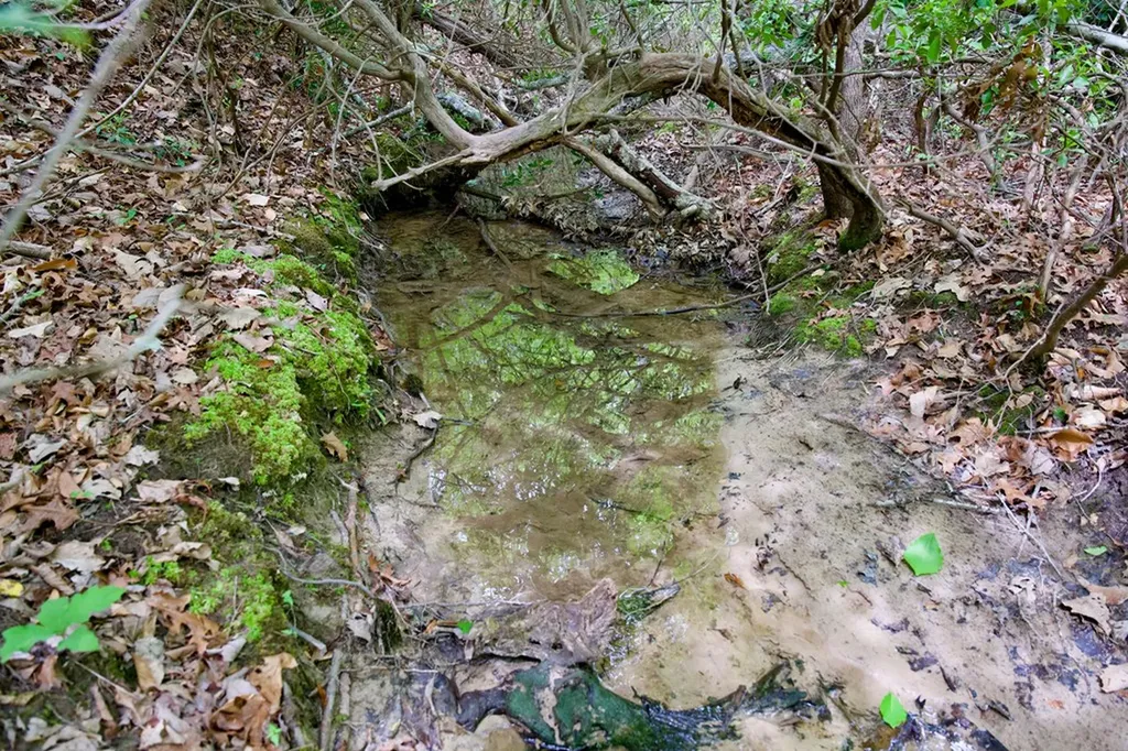 1.2AC Coyote Trail Spencer TN 38585