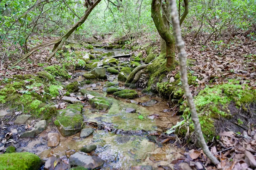1.2AC Coyote Trail Spencer TN 38585