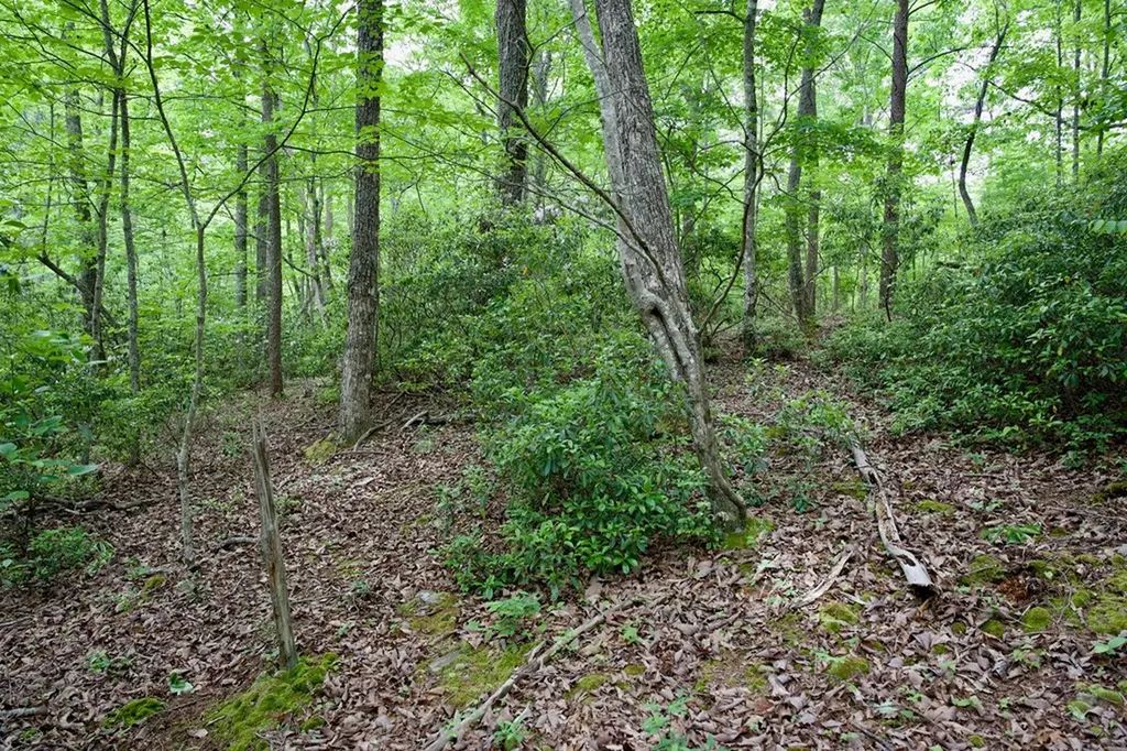 1.2AC Coyote Trail Spencer TN 38585
