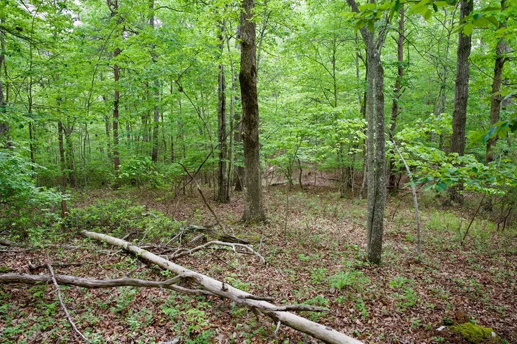 1.2AC Coyote Trail Spencer TN 38585