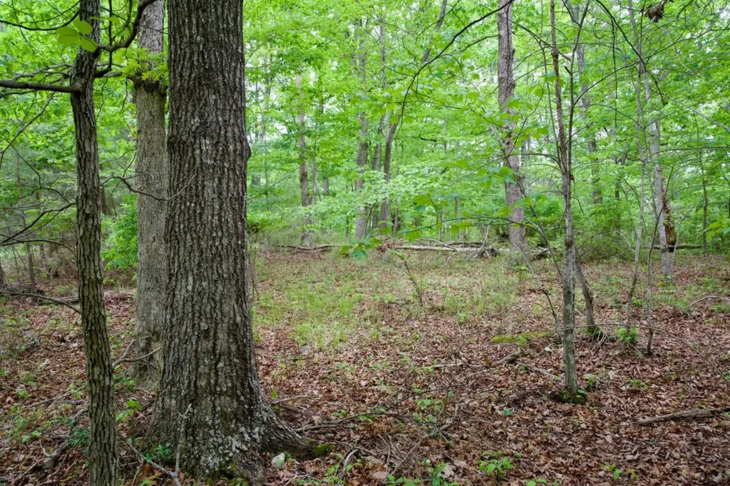 1.2AC Coyote Trail Spencer TN 38585