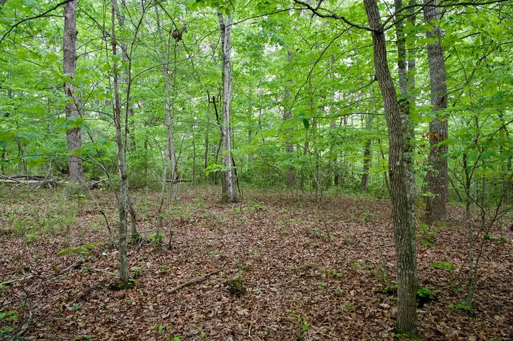 1.2AC Coyote Trail Spencer TN 38585