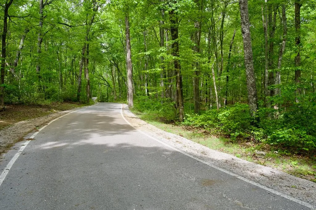 1.1AC Hillis Cemetery Road Spencer TN 38585