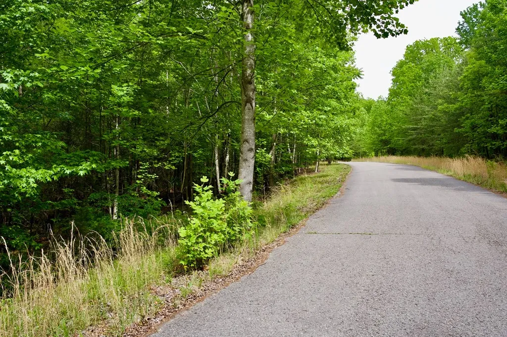 1.1AC Hillis Cemetery Road Spencer TN 38585