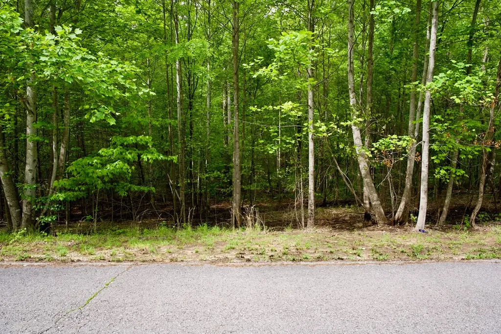 1.1AC Hillis Cemetery Road Spencer TN 38585