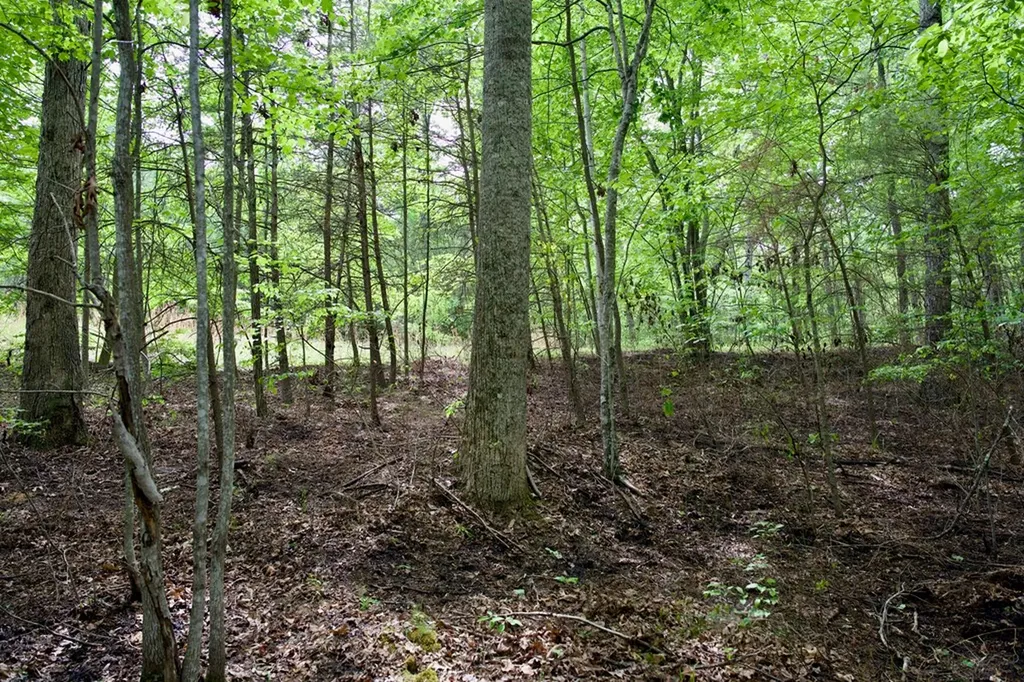 1.1AC Hillis Cemetery Road Spencer TN 38585