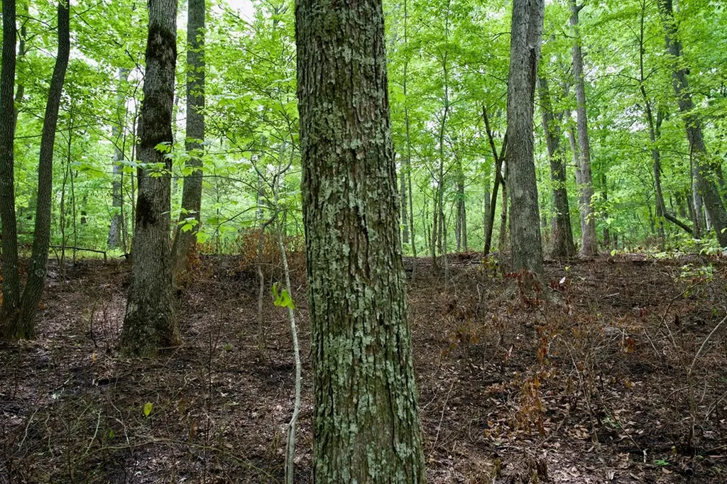 1.1AC Hillis Cemetery Road Spencer TN 38585