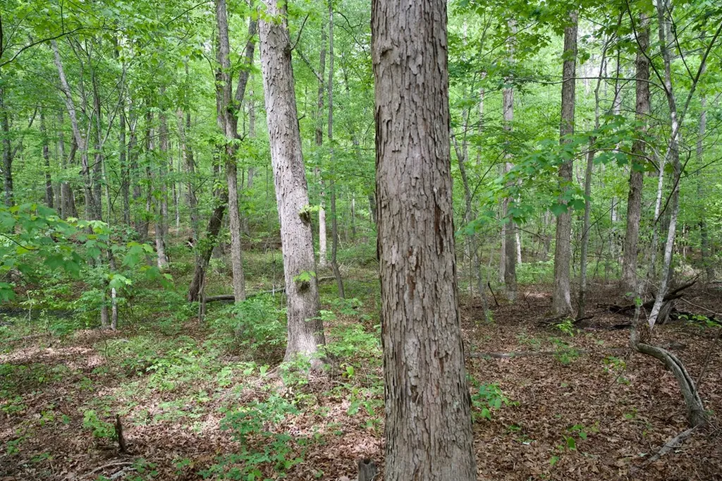 1.1AC Hillis Cemetery Road Spencer TN 38585