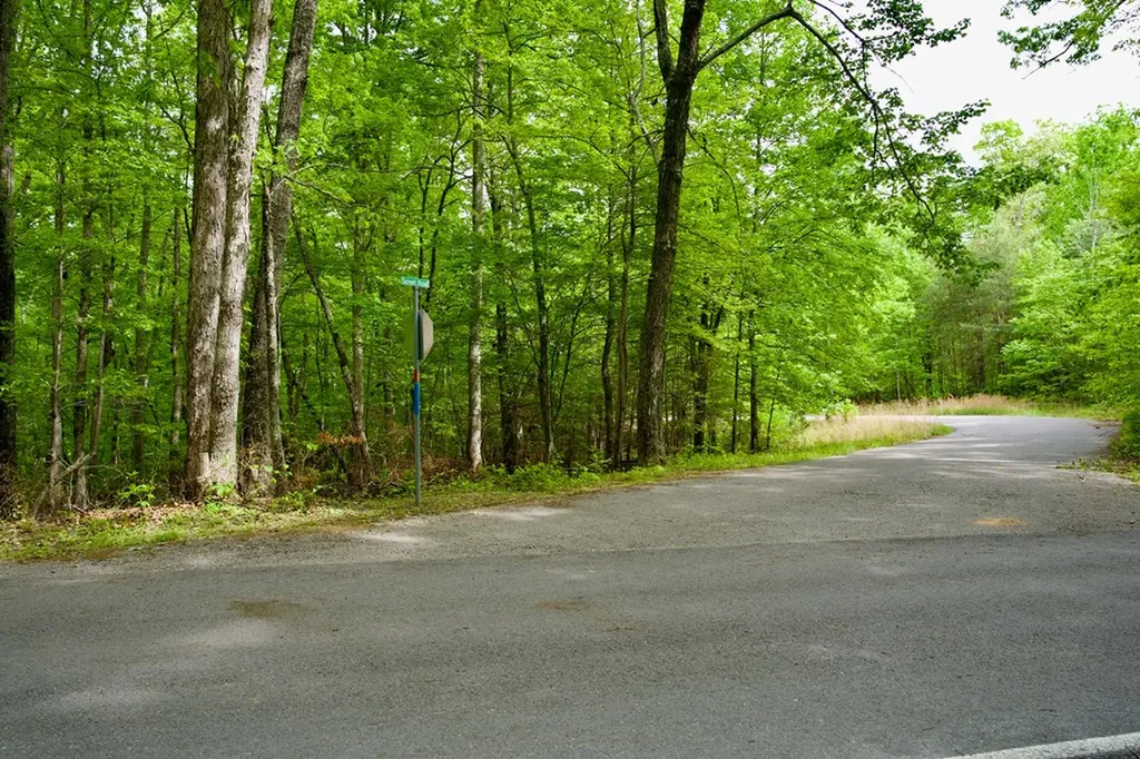 1.1AC Hillis Cemetery Road Spencer TN 38585