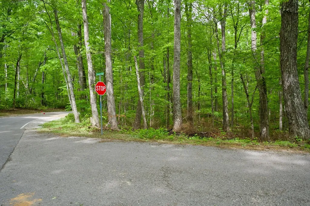 1.1AC Hillis Cemetery Road Spencer TN 38585