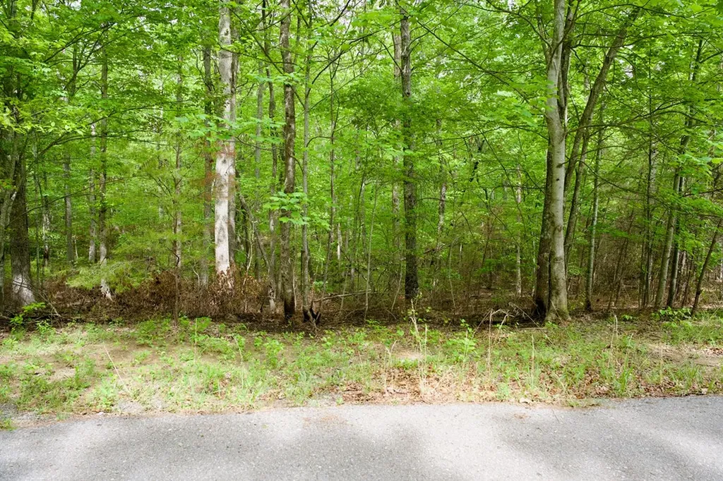 1.1AC Hillis Cemetery Road Spencer TN 38585