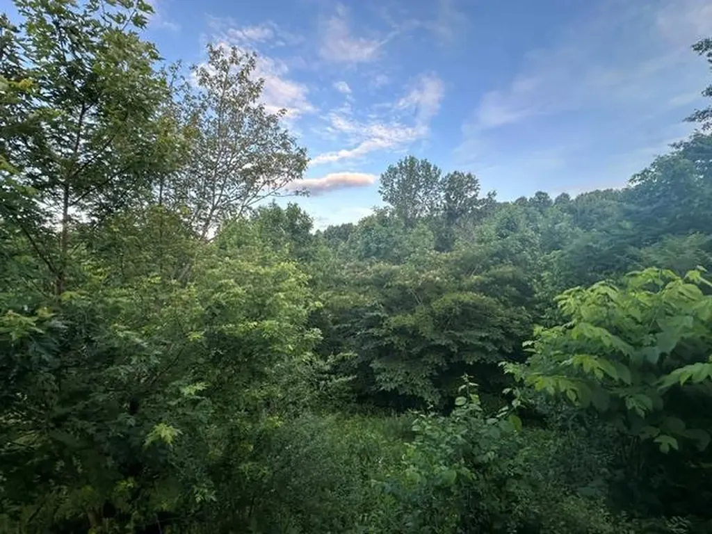 620 Harmony Road Gainesboro TN 38562