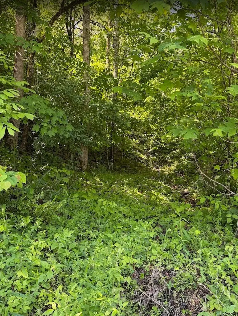 0 Spring Creek Road Cookeville TN 38501