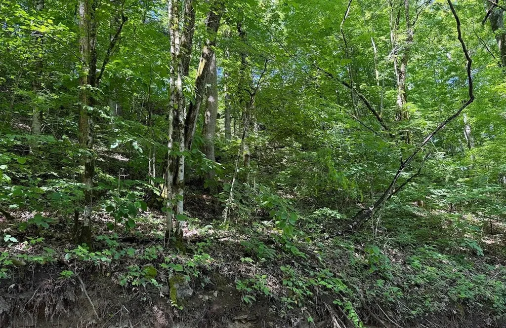 0 Spring Creek Road Cookeville TN 38501