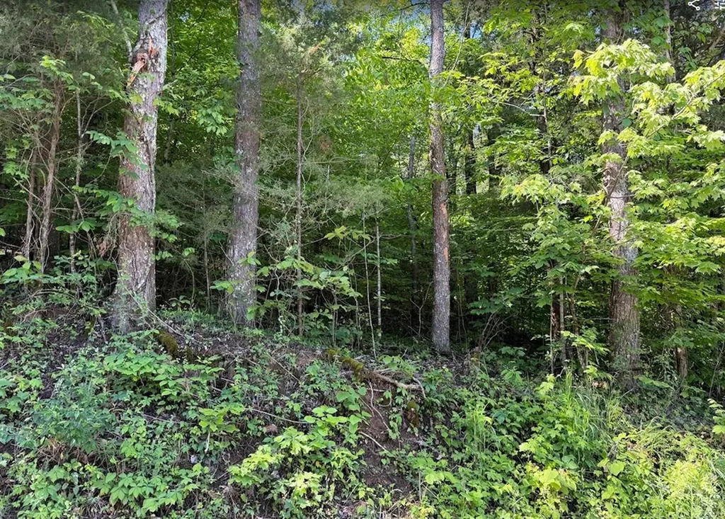 0 Spring Creek Road Cookeville TN 38501